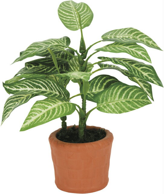 《アートグリーン》《人工観葉植物》光触媒 光の楽園 カントリ－ゼブラ