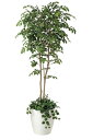 《アートグリーン》《人工観葉植物》光触媒 光の楽園 マウンッテンアッシュ1.8植栽付