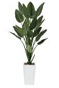 《アートグリーン》《人工観葉植物》光触媒 光の楽園 ストレチアW1.6