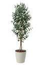 《アートグリーン》《人工観葉植物》光触媒 光の楽園 ユ-カリ1.55