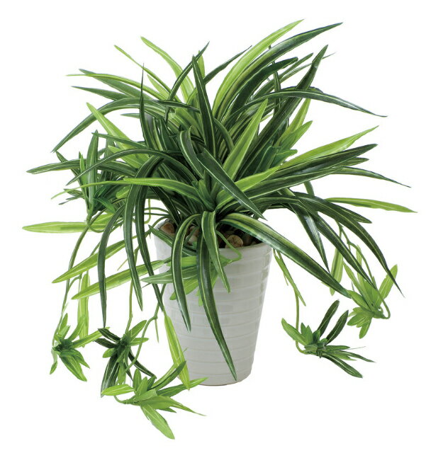 《アートグリーン》《人工観葉植物》光触媒 光の楽園 ドラセナ丸ポット