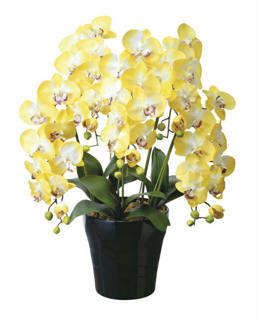 《アートフラワー》《人工観葉植物》...