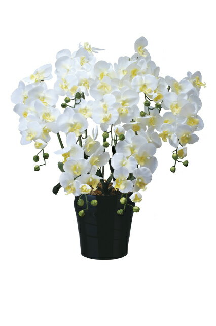 《アートフラワー》《人工観葉植物》光触媒 光の楽園 キング胡蝶蘭7本立W
