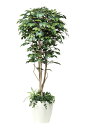《アートグリーン》《人工観葉植物》光触媒 光の楽園 フィカスベンジャミン1.8植栽付
