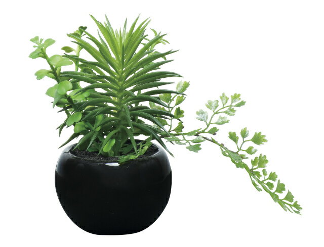 《アートグリーン》《人工観葉植物》光触媒 光の楽園 ミックスインポット