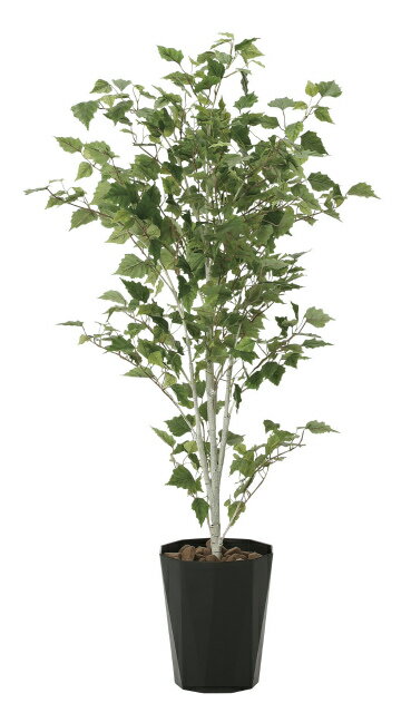 《アートグリーン》《人工観葉植物》光触媒 光の楽園 白樺 1．4