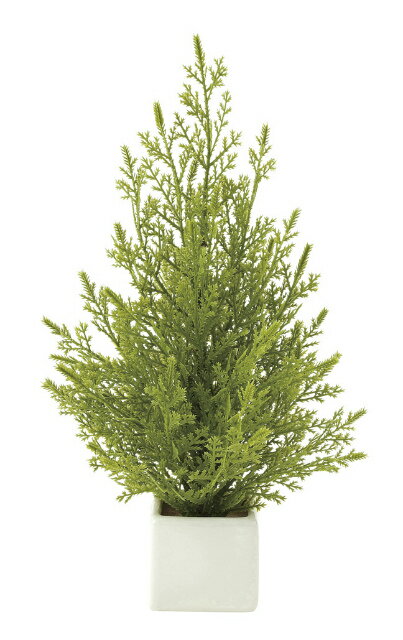 《アートグリーン》《人工観葉植物》光触媒 光の楽園 ミニゴ―ルドクレスト