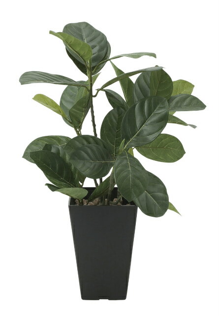 《アートグリーン》《人工観葉植物》光触媒 光の楽園 パンの木