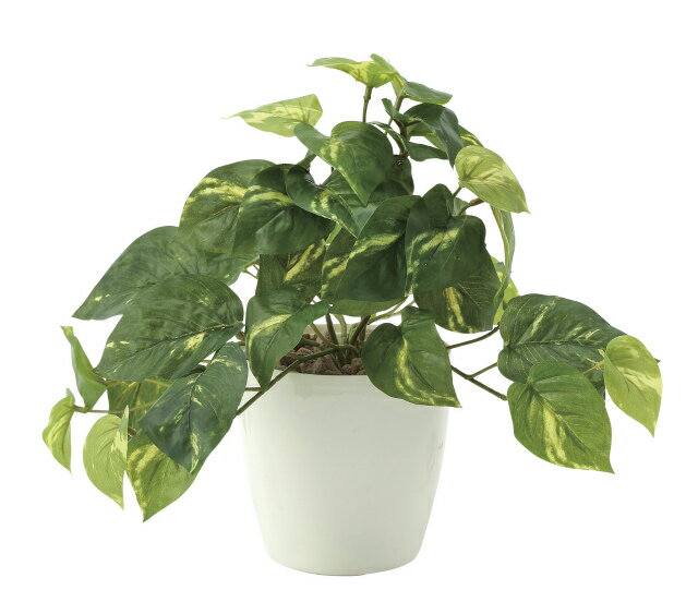 《アートグリーン》《人工観葉植物》光触媒 光の楽園 フレッシュポトスS