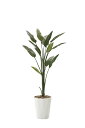 《アートグリーン》《人工観葉植物》光触媒 光の楽園 ストレチア1.6