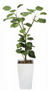 《アートグリーン》《人工観葉植物》光触媒 光の楽園 ア−トウンベラ−タ1.8