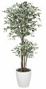 《アートグリーン》《人工観葉植物》光触媒 光の楽園 トロピカルベンジャミン斑入り1.6