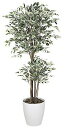 《アートグリーン》《人工観葉植物》光触媒 光の楽園 トロピカルベンジャミン斑入り1.8
