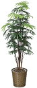 《竹・バンブー》《アートグリーン》《人工観葉植物》光触媒 光の楽園 シュロチク 1.6