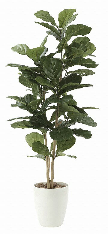 《アートグリーン》《人工観葉植物》光触媒 光の楽園 カシワバゴム 1．35
