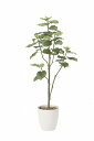 《アートグリーン》《人工観葉植物》光触媒 光の楽園 ウンベラ―タツリ―1.8