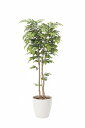 《アートグリーン》《人工観葉植物》光触媒 光の楽園 ケヤキ1.8