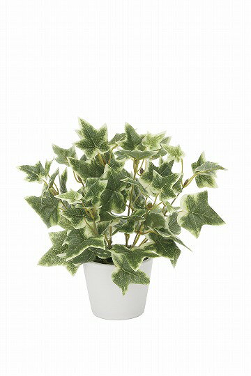 《アートグリーン》《人工観葉植物》光触媒 光の楽園 斑入りアイビ―