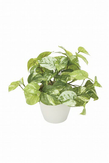 《アートグリーン》《人工観葉植物》光触媒 光の楽園 マ―ブルポトス