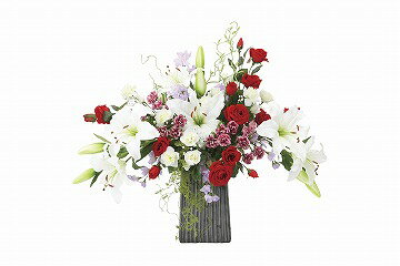 《アートフラワー》《人工観葉植物》光触媒 光の楽園 レッドエレガンス