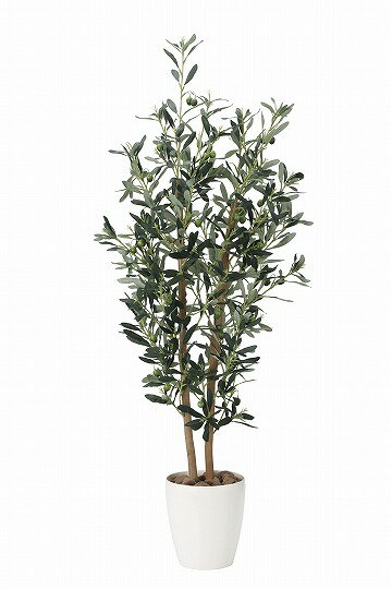 《アートグリーン》《人工観葉植物》光触媒 光の楽園 オリ―ブ1．2