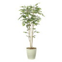 《アートグリーン》《人工観葉植物》光触媒 光の楽園 マウンテンアッシュ1.8