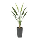 《アートグリーン》《人工観葉植物》光触媒 光の楽園 アートトラベラーズパーム1.8
