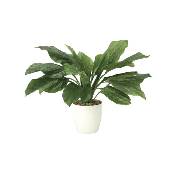 《アートグリーン》《人工観葉植物》光触媒 光の楽園 ホスター