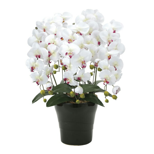 《アートフラワー》《人工観葉植物》光触媒 光の楽園 クイーン胡蝶蘭5本立W／AB