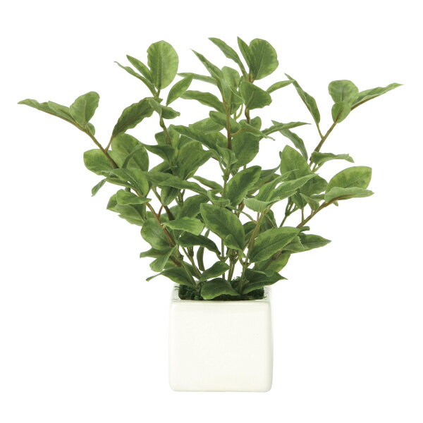 《アートグリーン》《人工観葉植物》光触媒 光の楽園 ミニリーフ