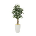 《アートグリーン》《人工観葉植物》光触媒 光の楽園 アーバンパキラ1.8