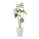 《アートグリーン》《人工観葉植物》光触媒 光の楽園 アーバンブランチウンベラータ1.8