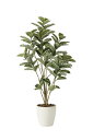 《アートグリーン》《人工観葉植物》光触媒 光の楽園 アルテシマDX1.6