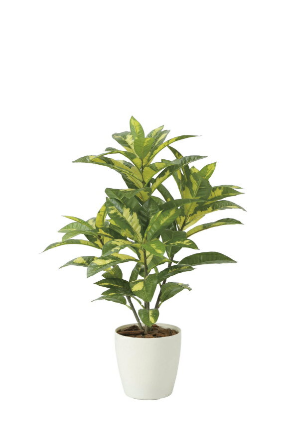 《アートグリーン》《人工観葉植物》光触媒 光の楽園 クロトン