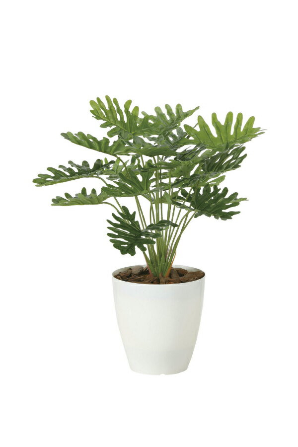 《アートグリーン》《人工観葉植物》光触媒 光の楽園 フレッシュクッカバラ