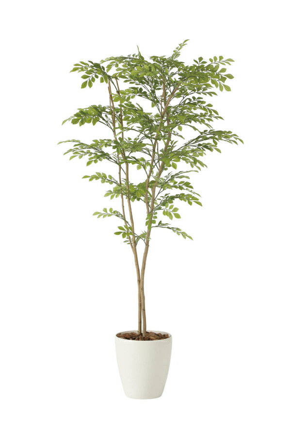 《アートグリーン》《人工観葉植物》光触媒 光の楽園 ライトトネリコ1.6