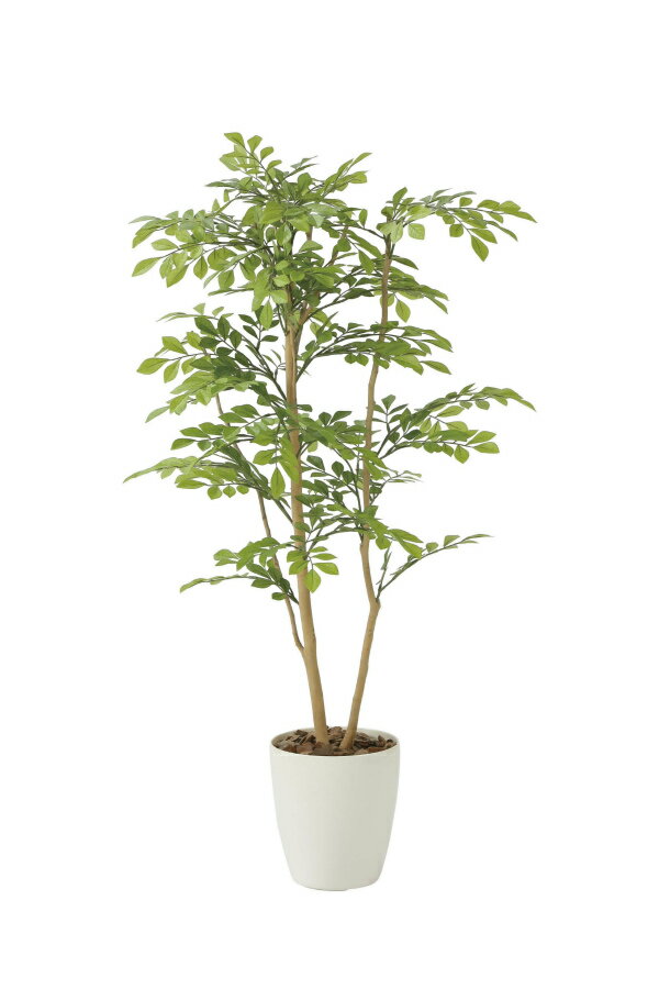 《アートグリーン》《人工観葉植物》光触媒 光の楽園 ライトトネリコ1.0