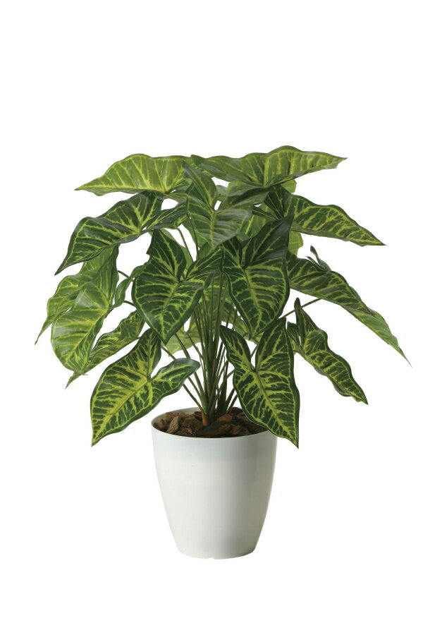 《アートグリーン》《人工観葉植物》光触媒 光の楽園 シンゴニウム