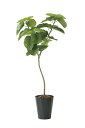《アートグリーン》《人工観葉植物》光触媒 光の楽園 デザインウンベラータ1.8