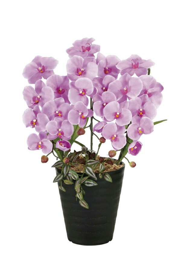 《アートフラワー》《造花》光触媒 光の楽園 プリンセス胡蝶蘭L