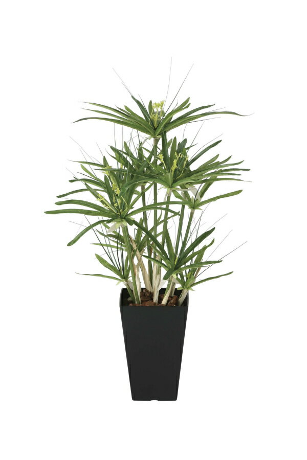 《アートグリーン》《人工観葉植物》光触媒 光の楽園 パピルス 60