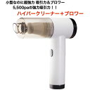 TO-PLAN ハイパークリーナー+ブロワー
