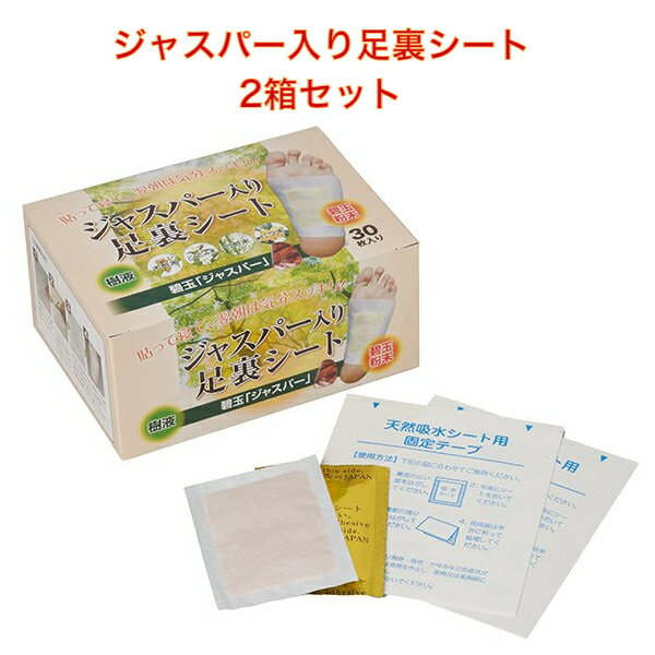 ジャスパー入り足裏シート　2個セット
