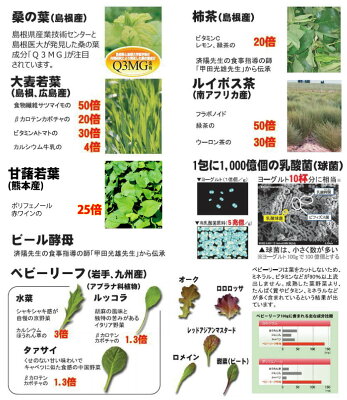 【クーポン】 AIGエム 済陽式 健康野草ジュース 万葉効草EX 30包 ≪3箱セット≫ 済陽高穂 先生と共同開発!人気の青汁 健康野菜酵素ジュース - Image 2
