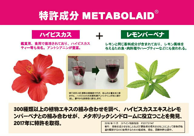 MD 60粒 ＜メタボレイド＆システイン配合＞ cloverplain-10006610 クローバープレイン サンプル画像2