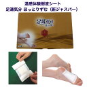 温感体験樹液シート 足湯気分 ほっとりずむ(新ジャスパー)