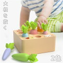 木製 おもちゃ 木のおもちゃ 大根を抜く 知育玩具 天然木のおもちゃ 誕生日 男の子 女の子 2歳 3歳 知育玩具 学習玩具 木の玩具 プレゼント ギフト 天然木 誕生日 出産祝い
