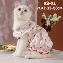 猫 夏服 ペットウェア 猫 服 夏用 キャットウェア ワンピース ノースリーブ 可愛い 姫風 かわいい 犬服 ペット服 春 夏 秋 猫のドレス お散歩 お出かけ...