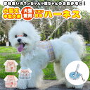 犬 ハーネス 犬用 猫用 リード付 ペット用ハーネスリードセット 小型犬 中型犬 かわいい おしゃれ リボン付き 抜けない 苦しくない 服 ウェアハーネス 脱げない 抜けにくい 胴輪 キャット ドッグ 布 メッシュ 散歩 お出かけ 簡単装着