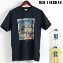 ベンシャーマン Ben Sherman Tシャツ ブライトン フェスト 3色 メンズ メンズ ギフト トラッド